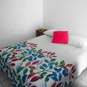 Cocos Cancún